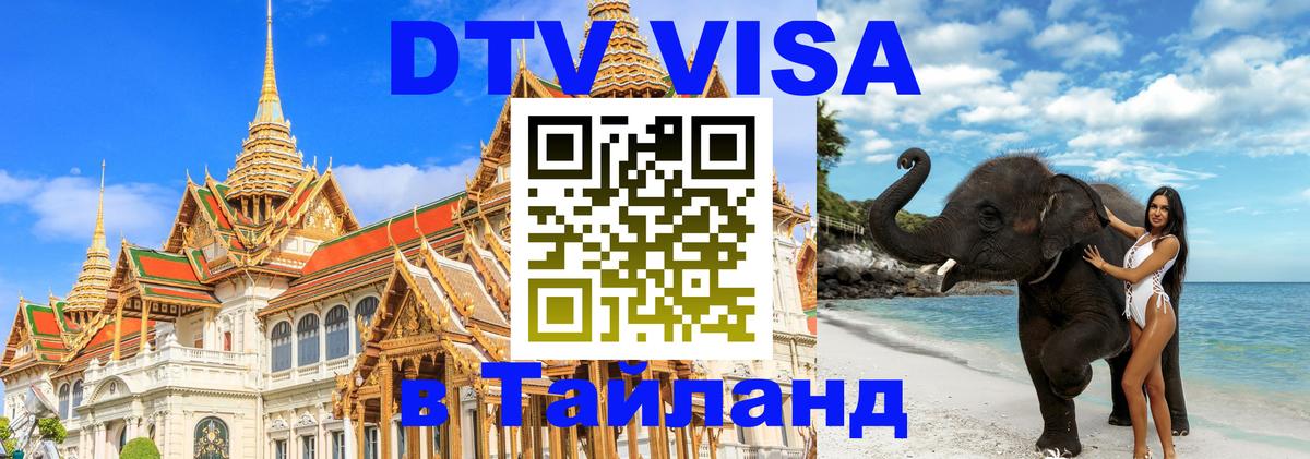 Сколько стоит DTV виза — актуальные цены, оформление даже без документов - 03.10.2025 